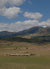 Sheep grazing in a field with mountains in the background